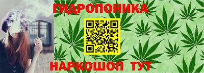 прущие крисы Обнинск