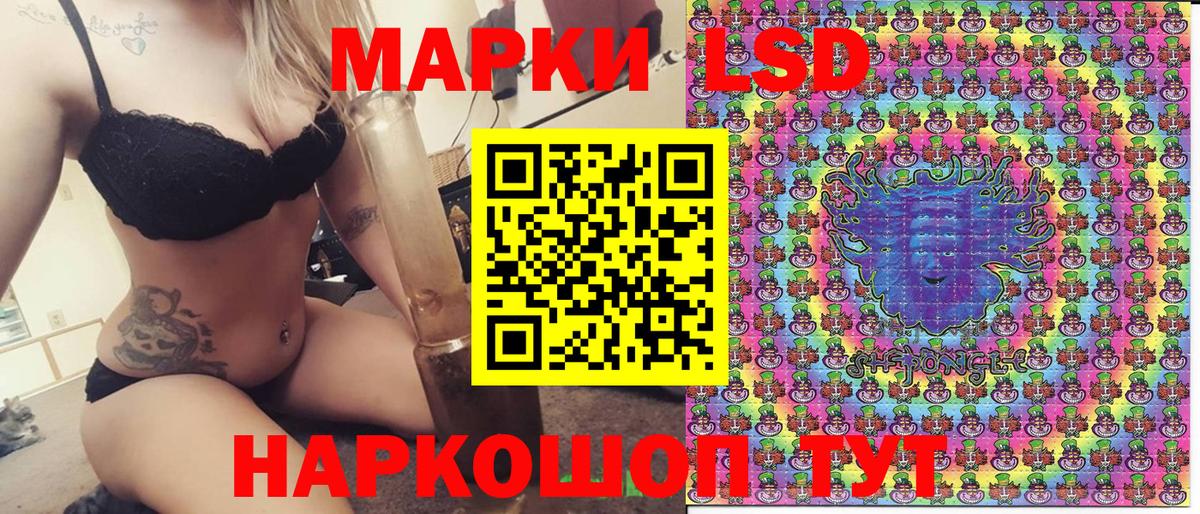 Свободный  где найти   Вход с VPN  Марки N-bome 1,8мг 