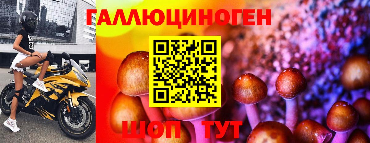 Свободный  Галлюциногенные грибы мухоморы  Вход с VPN  Галлюциногенные грибы MAGIC MUSHROOMS 