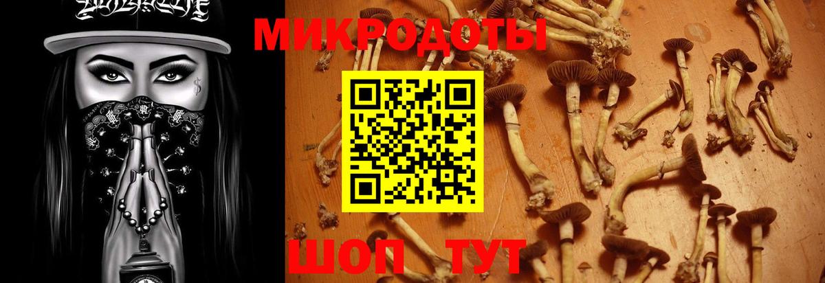 Галлюциногенные грибы Psilocybine cubensis Свободный